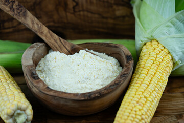 Frisch geernteter Mais Zea mays