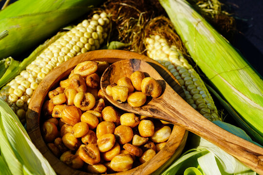 Frisch geernteter Mais Zea mays