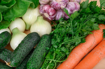 Zbliżenie na różne świeże warzywa - marchew, cebula, ogórek gruntowy, sałata i czosnek tapeta © Paweł Kacperek