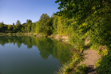 Landscape on a hot summer day by a pond surrounded by greenery