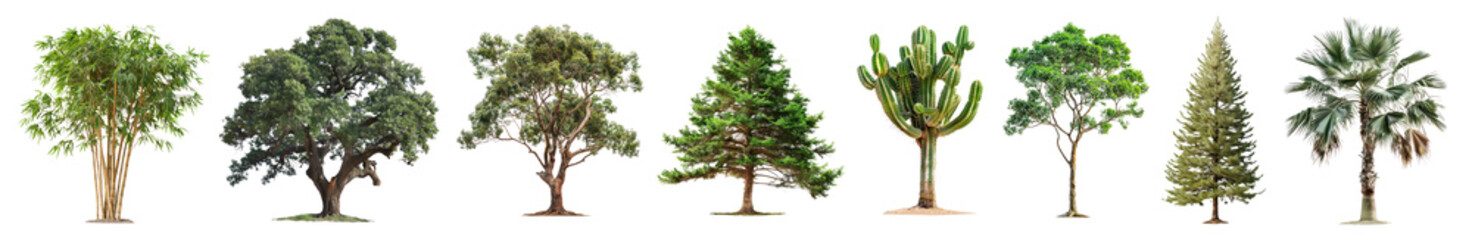 tree png cut out element set