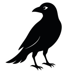 Fototapeta premium European starling bird icon vector illustration. 