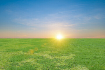 Landscape view of green grass field with sunset sky background.