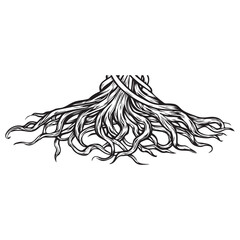 Obraz premium Root of the tree - Black Root structure silhouette, Plant root system, Roots illustration in black and white