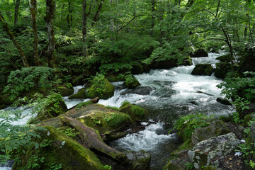 Obraz premium 阿修羅の流れ