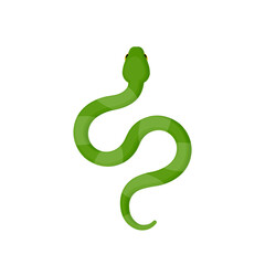 green snake vector illustration