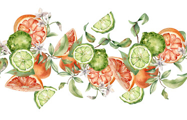 Grapefruit and bergamot citrus fruits with jasmine flower watercolor seamless border isolated. Hand drawn summer plants with bright orange green peel in botanical sketch for package products, textile