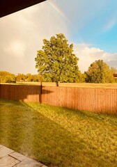 Natura za oknem © Falka