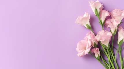 Fototapeta premium Pink Flowers on Purple Background