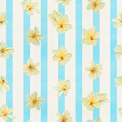 プルメリアとストライプ