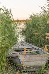 wooden boat near the river in the reeds