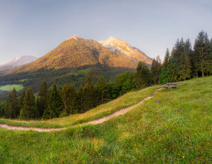 Meadow with road and bench during sunset in Berchtesgaden National Park