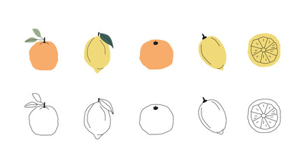 Outline lemons and oranges coloring page. Kids coloring book. Linear citrus sketch. Fruit doodle. Creative hobby for kids. Vector illustration isolated on white background. 