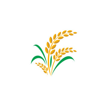 Rice Logo Vector Template
