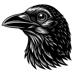 eagle head vector