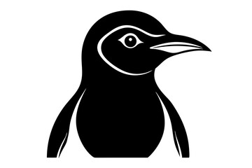 penguin on white