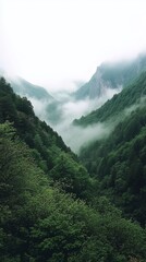 Obraz premium Fog rolling through a mountain pass, foggy weather, mysterious and silent