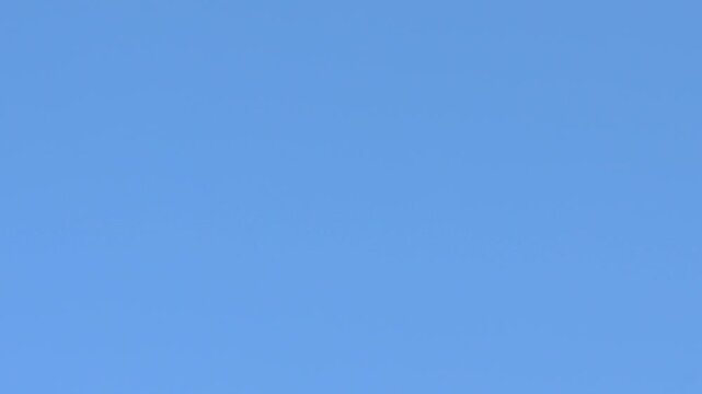 Gran grupo de buitres leonados gyps fulvus pasan por el encuadre con fondo de cielo azul, Alcoy, Espa&ntilde;a