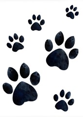 Fototapeta premium black footprints left on white background by an animal lion