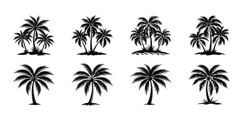 Set of palm tree silhouette vector illustration 