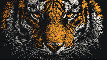 hand drawn tiger face close up illustration for t-shirt design