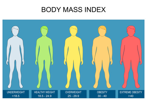 Body Mass Index