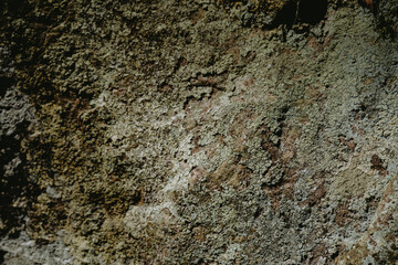 Close-up view of textured rock surface featuring natural patterns, moss, and minerals in a forested location during daylight