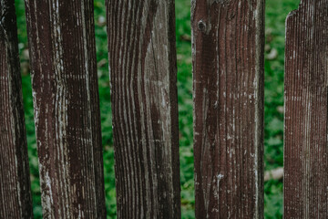 Obraz premium Weathered wooden fence panels standing between lush green grass on a sunny day in a tranquil outdoor setting