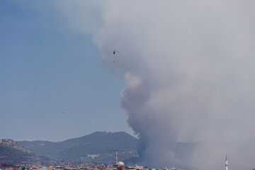 Turkey - Izmir 16 August 2024 Eurocopter AS532 Cougar type and Sikorsky helicopters carry the water...