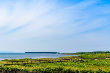Fototapeta premium 道東サロマ湖 ワッカ原生花園 