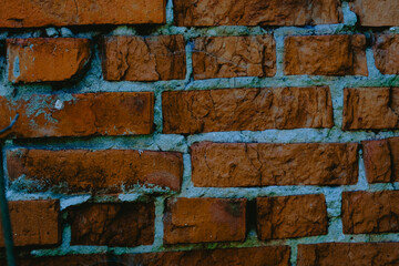 A close-up view of an aged, textured brick wall featuring warm reddish-brown tones and visible mortar joints, captured during daylight to highlight its rustic appearance