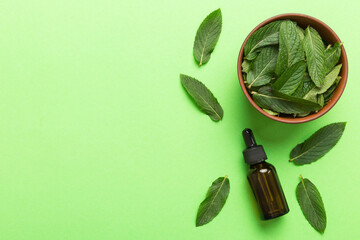 Natural Mint Essential Oil in a Glass Bottle. organic cosmetics with herbal extracts of mint on...