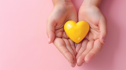 Fototapeta premium The Hands Holding Heart