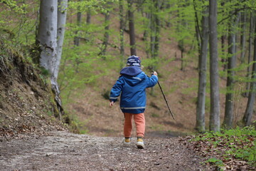 Obraz premium A boy walking alone in the forest with a wooden stick, Poland