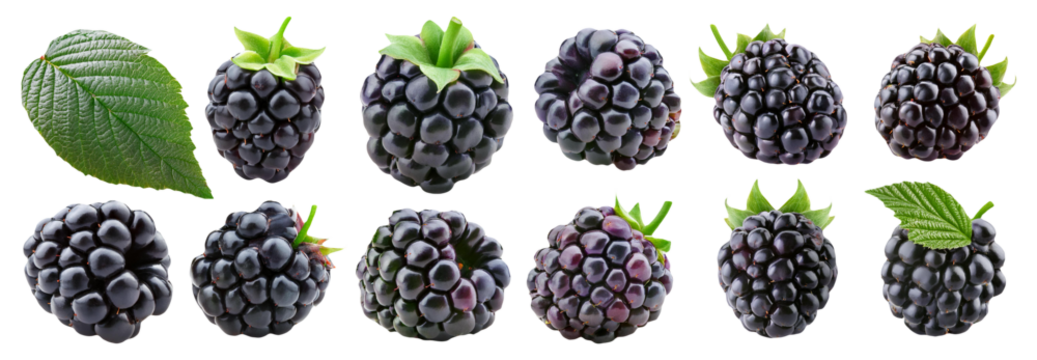Juicy blackberries isolated on transparent background