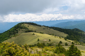 Fototapeta premium 青空が広がる夏の高原