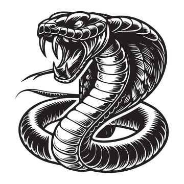 recommend clip art: Cobra silhouette - King Cobra snake Clipart -  Fanged Cobra illustration in black and white