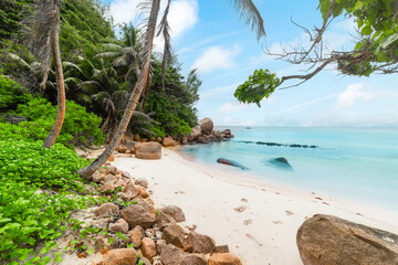 Small tropical cove with palm trees and turquoise water
