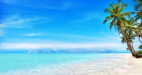 Sea beach, paradise tropical island, beautiful nature panorama landscape, turquoise ocean water, coconut palm trees, white sand, summer holidays, vacation, travel banner, Caribbean, Maldives, Thailand