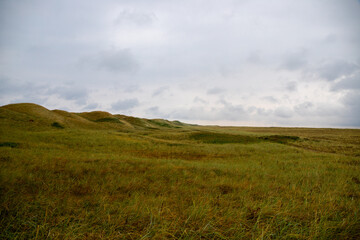 Wide grass landscape on the North Sea coast of Denmark