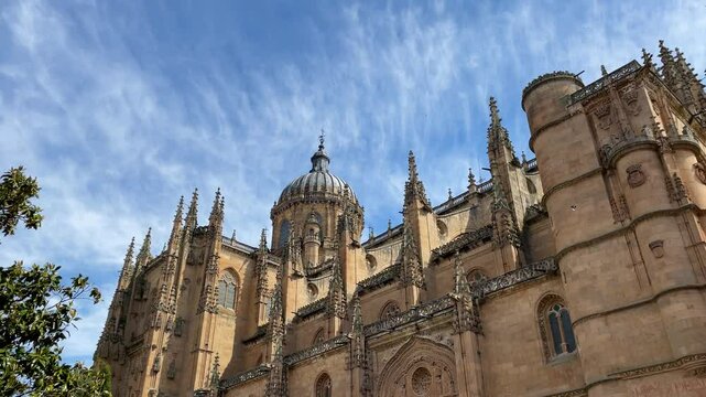 filming of the west fa&ccedil;ade of the New Cathedral of Salamanca where birds appear flying with a striking blue sky and a Magnolea tree, spectacular decoration of the cathedral and we see the Ramos door