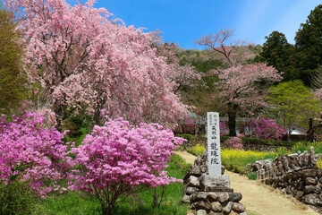 あきる野市龍珠院全景