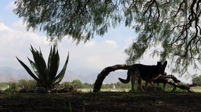 Los colores de la monta&ntilde;a del desierto son particulares, son amarillos y los nublados raros.
