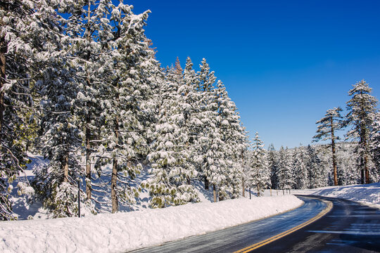 Snow-covered road winding through a winter forest