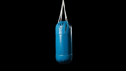 blue punching bag hanging 
