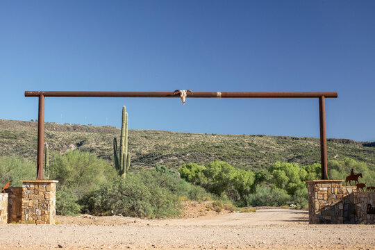 A cow skull centered on ranch entrance gate