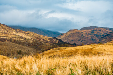 Rolling Golden Grassy Hills in Scotland