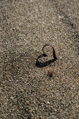 Seaweed buried in sand casts shadow that creates heart shaped shadow