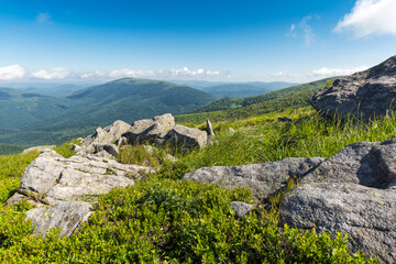 high mountain summer landscape. meadow with huge stones among the grass on top of a hill near the slope of mount smooth. sunny weather. high altitude rolling scenery