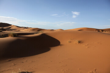 Sahara dunes,near Morocco, North Africa